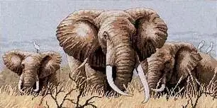 16/16/18/27/28 Прекрасный набор для вышивания крестиком Power of the Serengeti Three Elephants Семейство Слонов dim 35012