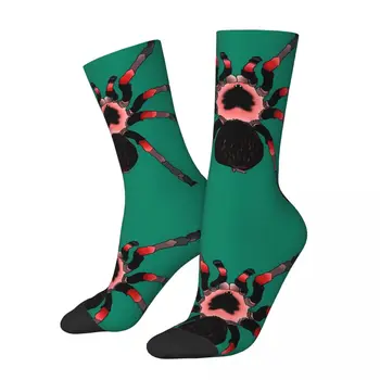 Счастливые мужские носки Красное колено Тарантул Ретро Паутина Животное Harajuku Повседневные носки для экипажа Подарочный рисунок с принтом